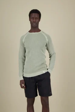 Colours & Sons Roundneck Basic - Lime*Herren Pullover|Pullover